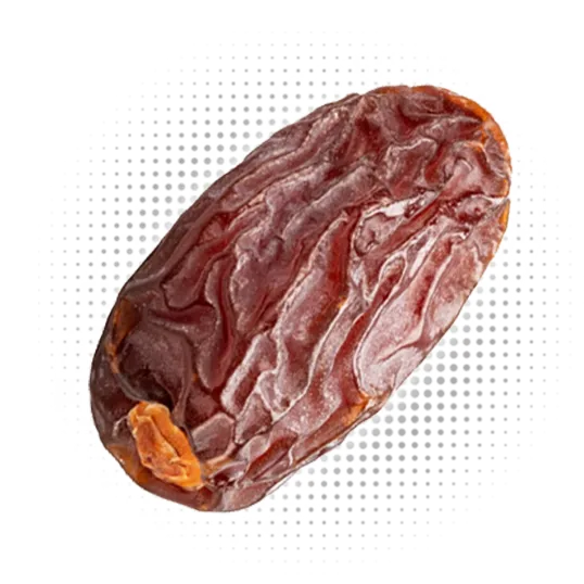 Estamaran Date Toucan