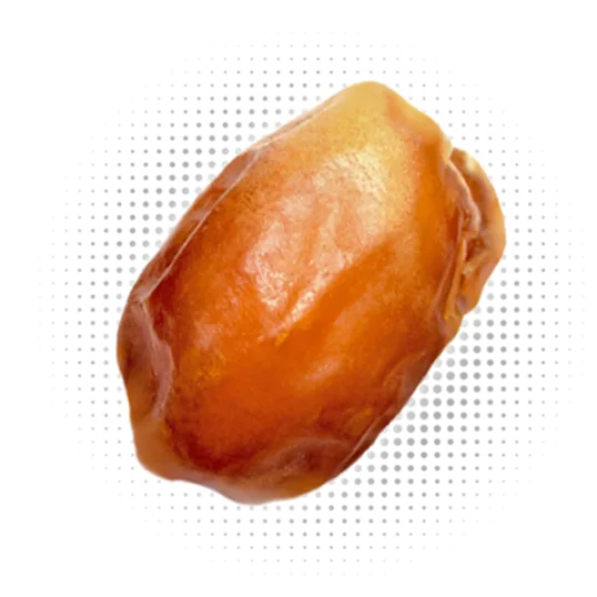 Zahedi / Zahidi Date Toucan