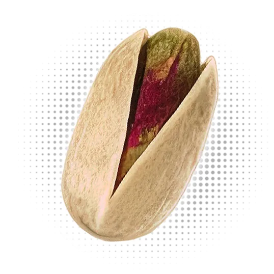 Ahmad Aghaei Pistachio Toucan