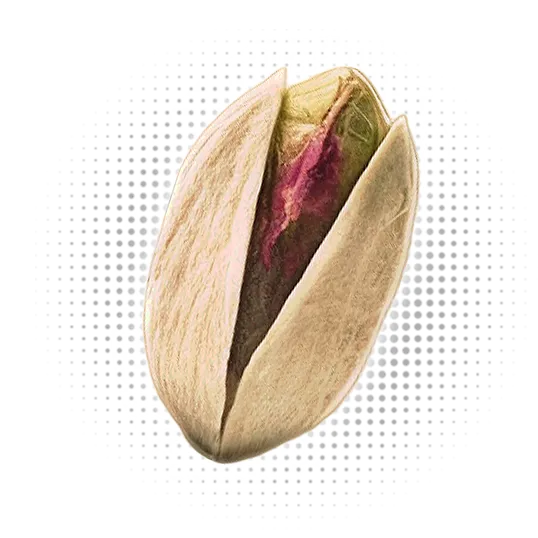 Akbari Pistachio Toucan