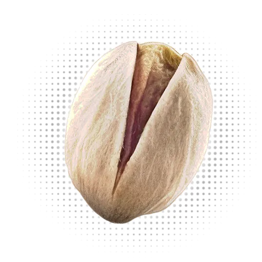 Fandoghi Pistachio Toucan