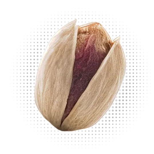 Kalleh Ghouchi Pistachio Toucan