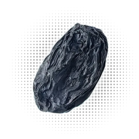 Black Raisins / Maviz Toucan