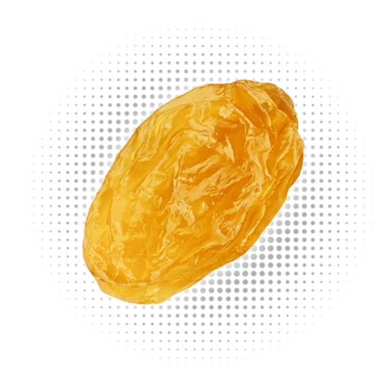 Golden Raisins Toucan