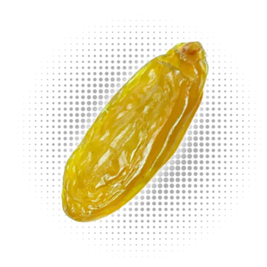 Green Raisins Toucan