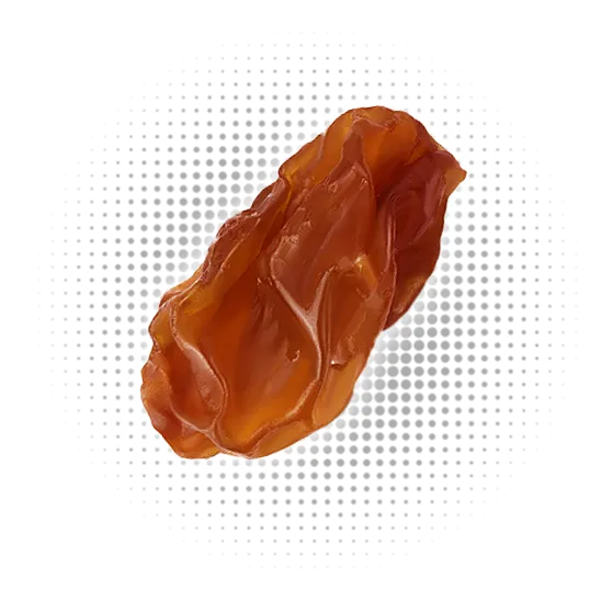 Sultana Raisins Toucan